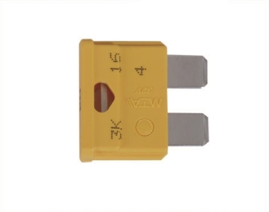 Obrázek Pojistka 20 A pro nabíječky autobaterií Telwin